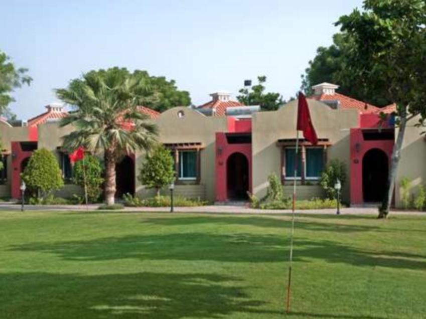 Pacha