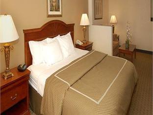 Comfort Suites United States FAQ 2017, What facilities are there in Comfort Suites United States 2017, What Languages Spoken are Supported in Comfort Suites United States 2017, Which payment cards are accepted in Comfort Suites United States , United States Comfort Suites room facilities and services Q&A 2017, United States Comfort Suites online booking services 2017, United States Comfort Suites address 2017, United States Comfort Suites telephone number 2017,United States Comfort Suites map 2017, United States Comfort Suites traffic guide 2017, how to go United States Comfort Suites, United States Comfort Suites booking online 2017, United States Comfort Suites room types 2017.