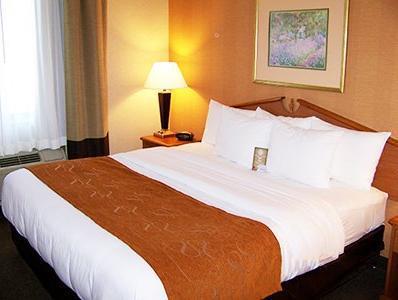 Comfort Suites Fishers Indianapolis Northeast Hotel America FAQ 2016, What facilities are there in Comfort Suites Fishers Indianapolis Northeast Hotel America 2016, What Languages Spoken are Supported in Comfort Suites Fishers Indianapolis Northeast Hotel America 2016, Which payment cards are accepted in Comfort Suites Fishers Indianapolis Northeast Hotel America , America Comfort Suites Fishers Indianapolis Northeast Hotel room facilities and services Q&A 2016, America Comfort Suites Fishers Indianapolis Northeast Hotel online booking services 2016, America Comfort Suites Fishers Indianapolis Northeast Hotel address 2016, America Comfort Suites Fishers Indianapolis Northeast Hotel telephone number 2016,America Comfort Suites Fishers Indianapolis Northeast Hotel map 2016, America Comfort Suites Fishers Indianapolis Northeast Hotel traffic guide 2016, how to go America Comfort Suites Fishers Indianapolis Northeast Hotel, America Comfort Suites Fishers Indianapolis Northeast Hotel booking online 2016, America Comfort Suites Fishers Indianapolis Northeast Hotel room types 2016.