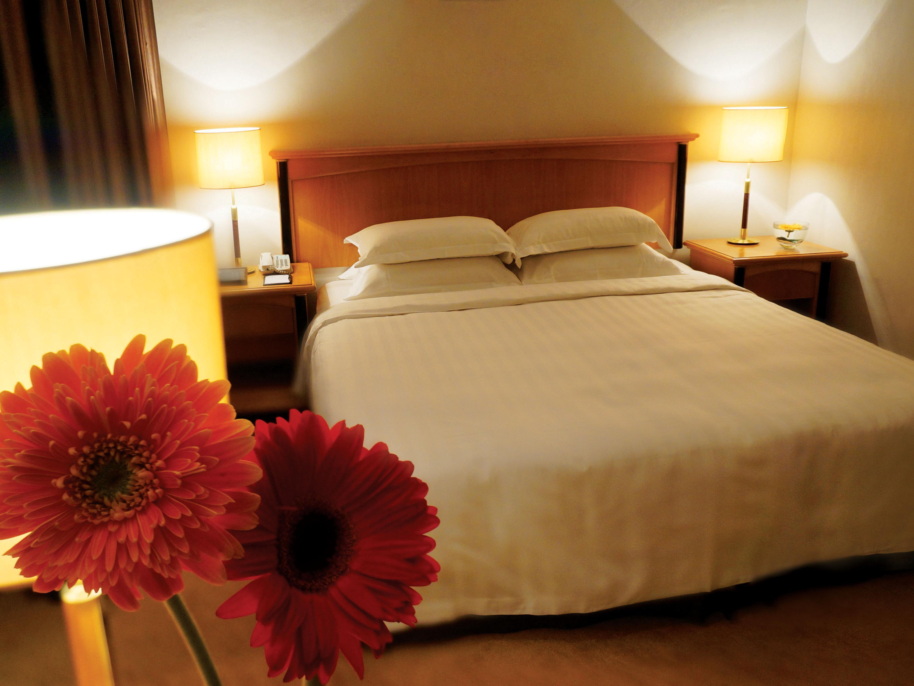 Hotel-Superioris