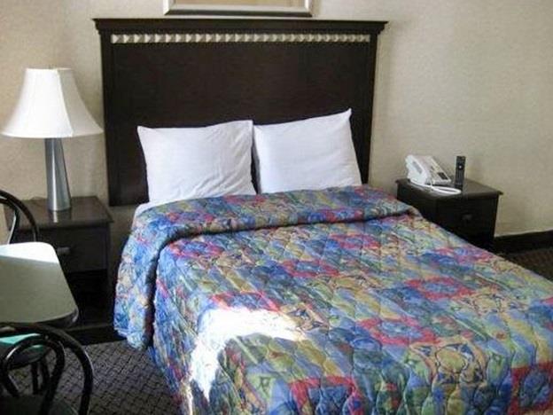 New York Inn New York State 
 FAQ 2016, What facilities are there in New York Inn New York State 
 2016, What Languages Spoken are Supported in New York Inn New York State 
 2016, Which payment cards are accepted in New York Inn New York State 
 , New York State 
 New York Inn room facilities and services Q&A 2016, New York State 
 New York Inn online booking services 2016, New York State 
 New York Inn address 2016, New York State 
 New York Inn telephone number 2016,New York State 
 New York Inn map 2016, New York State 
 New York Inn traffic guide 2016, how to go New York State 
 New York Inn, New York State 
 New York Inn booking online 2016, New York State 
 New York Inn room types 2016.
