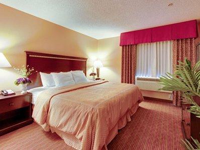 Comfort Suites Airport America FAQ 2016, What facilities are there in Comfort Suites Airport America 2016, What Languages Spoken are Supported in Comfort Suites Airport America 2016, Which payment cards are accepted in Comfort Suites Airport America , America Comfort Suites Airport room facilities and services Q&A 2016, America Comfort Suites Airport online booking services 2016, America Comfort Suites Airport address 2016, America Comfort Suites Airport telephone number 2016,America Comfort Suites Airport map 2016, America Comfort Suites Airport traffic guide 2016, how to go America Comfort Suites Airport, America Comfort Suites Airport booking online 2016, America Comfort Suites Airport room types 2016.