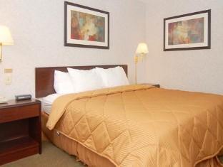 Econo Lodge America FAQ 2016, What facilities are there in Econo Lodge America 2016, What Languages Spoken are Supported in Econo Lodge America 2016, Which payment cards are accepted in Econo Lodge America , America Econo Lodge room facilities and services Q&A 2016, America Econo Lodge online booking services 2016, America Econo Lodge address 2016, America Econo Lodge telephone number 2016,America Econo Lodge map 2016, America Econo Lodge traffic guide 2016, how to go America Econo Lodge, America Econo Lodge booking online 2016, America Econo Lodge room types 2016.
