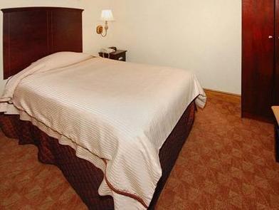 1 Single Bed, No Smoking - Breakfast included