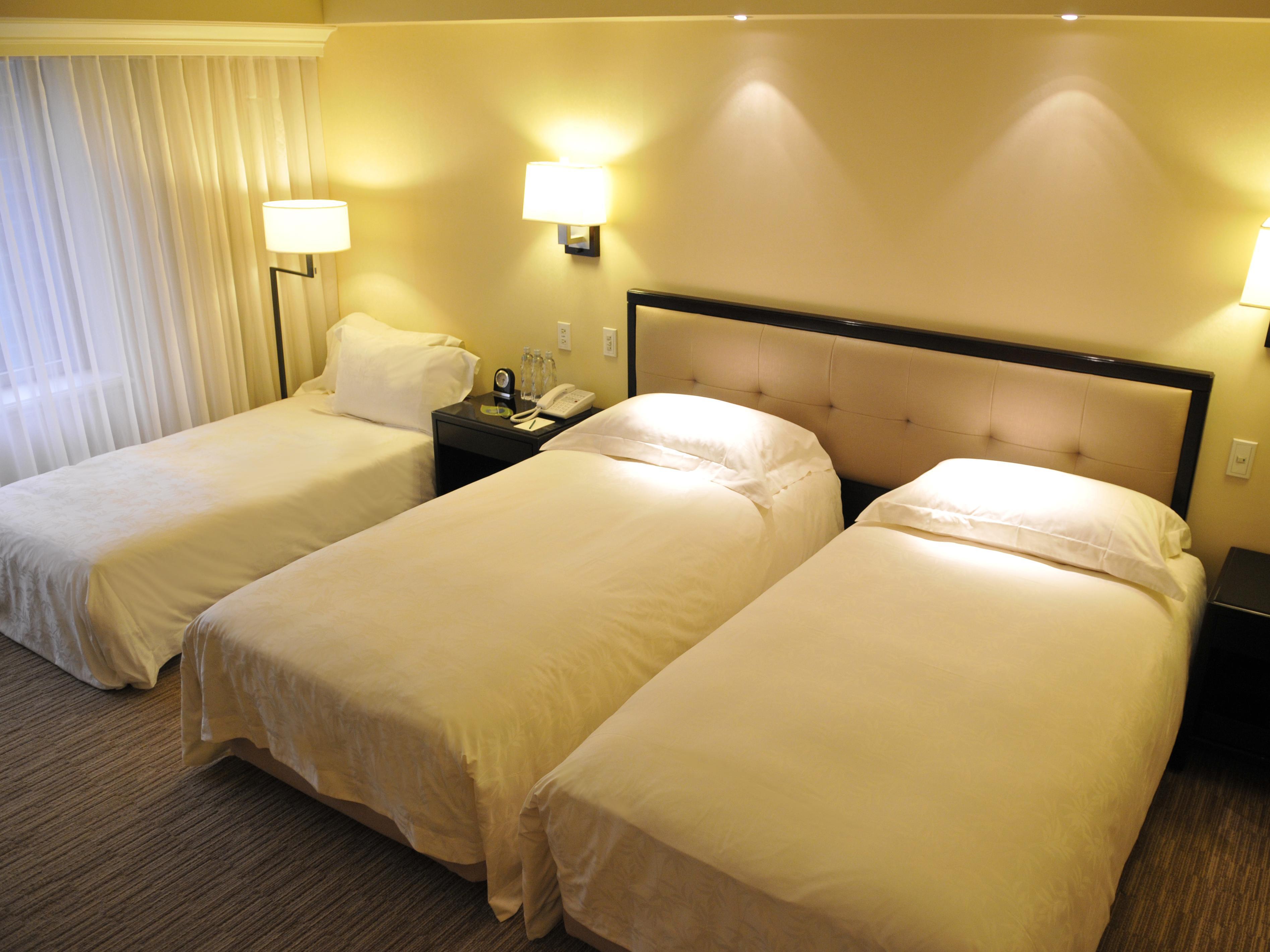 Deluxe Triple Room Only - Free WiFi access