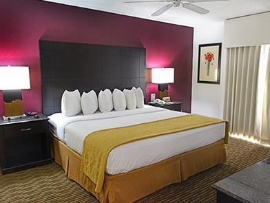 Quality Suites Lake Buena Vista Orlando FAQ 2017, What facilities are there in Quality Suites Lake Buena Vista Orlando 2017, What Languages Spoken are Supported in Quality Suites Lake Buena Vista Orlando 2017, Which payment cards are accepted in Quality Suites Lake Buena Vista Orlando , Orlando Quality Suites Lake Buena Vista room facilities and services Q&A 2017, Orlando Quality Suites Lake Buena Vista online booking services 2017, Orlando Quality Suites Lake Buena Vista address 2017, Orlando Quality Suites Lake Buena Vista telephone number 2017,Orlando Quality Suites Lake Buena Vista map 2017, Orlando Quality Suites Lake Buena Vista traffic guide 2017, how to go Orlando Quality Suites Lake Buena Vista, Orlando Quality Suites Lake Buena Vista booking online 2017, Orlando Quality Suites Lake Buena Vista room types 2017.