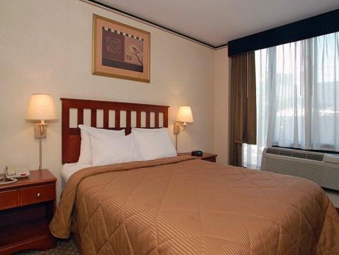 Comfort Inn Long Island City New York State 
 FAQ 2016, What facilities are there in Comfort Inn Long Island City New York State 
 2016, What Languages Spoken are Supported in Comfort Inn Long Island City New York State 
 2016, Which payment cards are accepted in Comfort Inn Long Island City New York State 
 , New York State 
 Comfort Inn Long Island City room facilities and services Q&A 2016, New York State 
 Comfort Inn Long Island City online booking services 2016, New York State 
 Comfort Inn Long Island City address 2016, New York State 
 Comfort Inn Long Island City telephone number 2016,New York State 
 Comfort Inn Long Island City map 2016, New York State 
 Comfort Inn Long Island City traffic guide 2016, how to go New York State 
 Comfort Inn Long Island City, New York State 
 Comfort Inn Long Island City booking online 2016, New York State 
 Comfort Inn Long Island City room types 2016.
