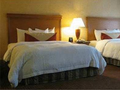 Hilton Garden Inn Chicago Tinley Park Chicago FAQ 2017, What facilities are there in Hilton Garden Inn Chicago Tinley Park Chicago 2017, What Languages Spoken are Supported in Hilton Garden Inn Chicago Tinley Park Chicago 2017, Which payment cards are accepted in Hilton Garden Inn Chicago Tinley Park Chicago , Chicago Hilton Garden Inn Chicago Tinley Park room facilities and services Q&A 2017, Chicago Hilton Garden Inn Chicago Tinley Park online booking services 2017, Chicago Hilton Garden Inn Chicago Tinley Park address 2017, Chicago Hilton Garden Inn Chicago Tinley Park telephone number 2017,Chicago Hilton Garden Inn Chicago Tinley Park map 2017, Chicago Hilton Garden Inn Chicago Tinley Park traffic guide 2017, how to go Chicago Hilton Garden Inn Chicago Tinley Park, Chicago Hilton Garden Inn Chicago Tinley Park booking online 2017, Chicago Hilton Garden Inn Chicago Tinley Park room types 2017.
