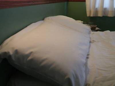 Hotel-Singleis