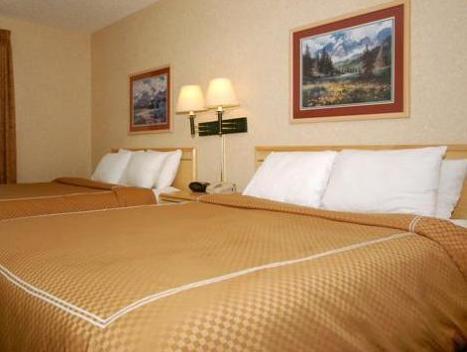 Suites