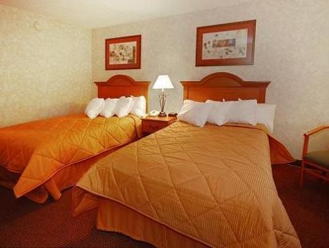 Comfort Inn Seekonk-Providence America FAQ 2016, What facilities are there in Comfort Inn Seekonk-Providence America 2016, What Languages Spoken are Supported in Comfort Inn Seekonk-Providence America 2016, Which payment cards are accepted in Comfort Inn Seekonk-Providence America , America Comfort Inn Seekonk-Providence room facilities and services Q&A 2016, America Comfort Inn Seekonk-Providence online booking services 2016, America Comfort Inn Seekonk-Providence address 2016, America Comfort Inn Seekonk-Providence telephone number 2016,America Comfort Inn Seekonk-Providence map 2016, America Comfort Inn Seekonk-Providence traffic guide 2016, how to go America Comfort Inn Seekonk-Providence, America Comfort Inn Seekonk-Providence booking online 2016, America Comfort Inn Seekonk-Providence room types 2016.