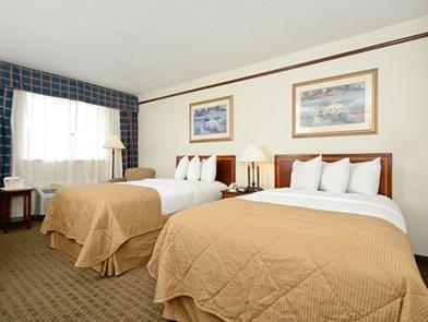Suites
