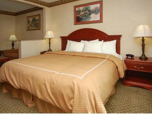 Comfort Suites South Rio Grande FAQ 2016, What facilities are there in Comfort Suites South Rio Grande 2016, What Languages Spoken are Supported in Comfort Suites South Rio Grande 2016, Which payment cards are accepted in Comfort Suites South Rio Grande , Rio Grande Comfort Suites South room facilities and services Q&A 2016, Rio Grande Comfort Suites South online booking services 2016, Rio Grande Comfort Suites South address 2016, Rio Grande Comfort Suites South telephone number 2016,Rio Grande Comfort Suites South map 2016, Rio Grande Comfort Suites South traffic guide 2016, how to go Rio Grande Comfort Suites South, Rio Grande Comfort Suites South booking online 2016, Rio Grande Comfort Suites South room types 2016.