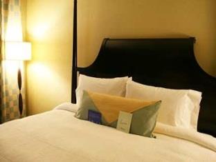 1 King 1-Bedroom Penthouse Suite - Free WiFi access
