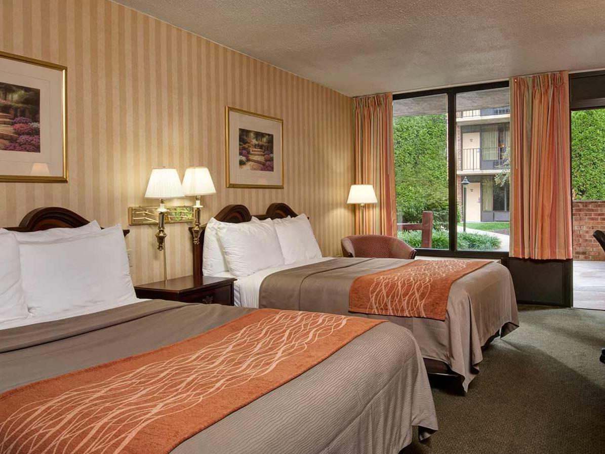 Comfort Inn Tysons Corner Vienna FAQ 2017, What facilities are there in Comfort Inn Tysons Corner Vienna 2017, What Languages Spoken are Supported in Comfort Inn Tysons Corner Vienna 2017, Which payment cards are accepted in Comfort Inn Tysons Corner Vienna , Vienna Comfort Inn Tysons Corner room facilities and services Q&A 2017, Vienna Comfort Inn Tysons Corner online booking services 2017, Vienna Comfort Inn Tysons Corner address 2017, Vienna Comfort Inn Tysons Corner telephone number 2017,Vienna Comfort Inn Tysons Corner map 2017, Vienna Comfort Inn Tysons Corner traffic guide 2017, how to go Vienna Comfort Inn Tysons Corner, Vienna Comfort Inn Tysons Corner booking online 2017, Vienna Comfort Inn Tysons Corner room types 2017.