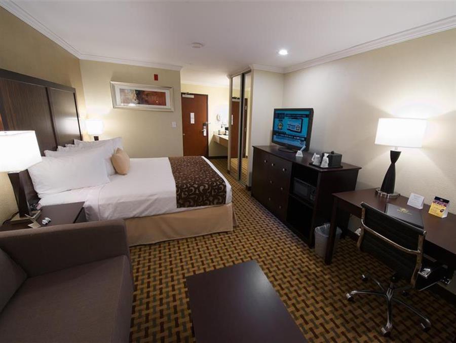 Suite-1