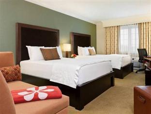 Westminster Hotel Livingstone FAQ 2017, What facilities are there in Westminster Hotel Livingstone 2017, What Languages Spoken are Supported in Westminster Hotel Livingstone 2017, Which payment cards are accepted in Westminster Hotel Livingstone , Livingstone Westminster Hotel room facilities and services Q&A 2017, Livingstone Westminster Hotel online booking services 2017, Livingstone Westminster Hotel address 2017, Livingstone Westminster Hotel telephone number 2017,Livingstone Westminster Hotel map 2017, Livingstone Westminster Hotel traffic guide 2017, how to go Livingstone Westminster Hotel, Livingstone Westminster Hotel booking online 2017, Livingstone Westminster Hotel room types 2017.