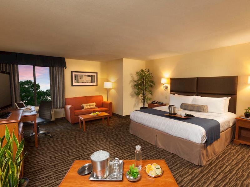 Best Western PLUS Lewisville Coppell America FAQ 2016, What facilities are there in Best Western PLUS Lewisville Coppell America 2016, What Languages Spoken are Supported in Best Western PLUS Lewisville Coppell America 2016, Which payment cards are accepted in Best Western PLUS Lewisville Coppell America , America Best Western PLUS Lewisville Coppell room facilities and services Q&A 2016, America Best Western PLUS Lewisville Coppell online booking services 2016, America Best Western PLUS Lewisville Coppell address 2016, America Best Western PLUS Lewisville Coppell telephone number 2016,America Best Western PLUS Lewisville Coppell map 2016, America Best Western PLUS Lewisville Coppell traffic guide 2016, how to go America Best Western PLUS Lewisville Coppell, America Best Western PLUS Lewisville Coppell booking online 2016, America Best Western PLUS Lewisville Coppell room types 2016.