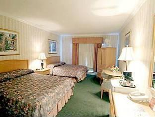 Quality Inn Downtown Inner Harbour Victoria FAQ 2016, What facilities are there in Quality Inn Downtown Inner Harbour Victoria 2016, What Languages Spoken are Supported in Quality Inn Downtown Inner Harbour Victoria 2016, Which payment cards are accepted in Quality Inn Downtown Inner Harbour Victoria , Victoria Quality Inn Downtown Inner Harbour room facilities and services Q&A 2016, Victoria Quality Inn Downtown Inner Harbour online booking services 2016, Victoria Quality Inn Downtown Inner Harbour address 2016, Victoria Quality Inn Downtown Inner Harbour telephone number 2016,Victoria Quality Inn Downtown Inner Harbour map 2016, Victoria Quality Inn Downtown Inner Harbour traffic guide 2016, how to go Victoria Quality Inn Downtown Inner Harbour, Victoria Quality Inn Downtown Inner Harbour booking online 2016, Victoria Quality Inn Downtown Inner Harbour room types 2016.