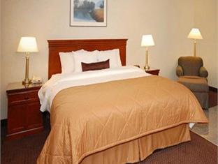 Clarion Hotel Federal Way - Seattle Federal Territories FAQ 2016, What facilities are there in Clarion Hotel Federal Way - Seattle Federal Territories 2016, What Languages Spoken are Supported in Clarion Hotel Federal Way - Seattle Federal Territories 2016, Which payment cards are accepted in Clarion Hotel Federal Way - Seattle Federal Territories , Federal Territories Clarion Hotel Federal Way - Seattle room facilities and services Q&A 2016, Federal Territories Clarion Hotel Federal Way - Seattle online booking services 2016, Federal Territories Clarion Hotel Federal Way - Seattle address 2016, Federal Territories Clarion Hotel Federal Way - Seattle telephone number 2016,Federal Territories Clarion Hotel Federal Way - Seattle map 2016, Federal Territories Clarion Hotel Federal Way - Seattle traffic guide 2016, how to go Federal Territories Clarion Hotel Federal Way - Seattle, Federal Territories Clarion Hotel Federal Way - Seattle booking online 2016, Federal Territories Clarion Hotel Federal Way - Seattle room types 2016.