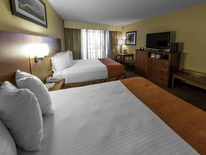 Best Western Lake Buena Vista - Downtown Disney Resort Area Orlando FAQ 2016, What facilities are there in Best Western Lake Buena Vista - Downtown Disney Resort Area Orlando 2016, What Languages Spoken are Supported in Best Western Lake Buena Vista - Downtown Disney Resort Area Orlando 2016, Which payment cards are accepted in Best Western Lake Buena Vista - Downtown Disney Resort Area Orlando , Orlando Best Western Lake Buena Vista - Downtown Disney Resort Area room facilities and services Q&A 2016, Orlando Best Western Lake Buena Vista - Downtown Disney Resort Area online booking services 2016, Orlando Best Western Lake Buena Vista - Downtown Disney Resort Area address 2016, Orlando Best Western Lake Buena Vista - Downtown Disney Resort Area telephone number 2016,Orlando Best Western Lake Buena Vista - Downtown Disney Resort Area map 2016, Orlando Best Western Lake Buena Vista - Downtown Disney Resort Area traffic guide 2016, how to go Orlando Best Western Lake Buena Vista - Downtown Disney Resort Area, Orlando Best Western Lake Buena Vista - Downtown Disney Resort Area booking online 2016, Orlando Best Western Lake Buena Vista - Downtown Disney Resort Area room types 2016.