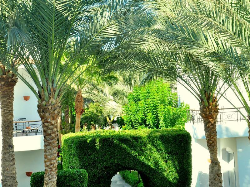 Jaz Fanara Resort Sharm El Sheikh FAQ 2016, What facilities are there in Jaz Fanara Resort Sharm El Sheikh 2016, What Languages Spoken are Supported in Jaz Fanara Resort Sharm El Sheikh 2016, Which payment cards are accepted in Jaz Fanara Resort Sharm El Sheikh , Sharm El Sheikh Jaz Fanara Resort room facilities and services Q&A 2016, Sharm El Sheikh Jaz Fanara Resort online booking services 2016, Sharm El Sheikh Jaz Fanara Resort address 2016, Sharm El Sheikh Jaz Fanara Resort telephone number 2016,Sharm El Sheikh Jaz Fanara Resort map 2016, Sharm El Sheikh Jaz Fanara Resort traffic guide 2016, how to go Sharm El Sheikh Jaz Fanara Resort, Sharm El Sheikh Jaz Fanara Resort booking online 2016, Sharm El Sheikh Jaz Fanara Resort room types 2016.