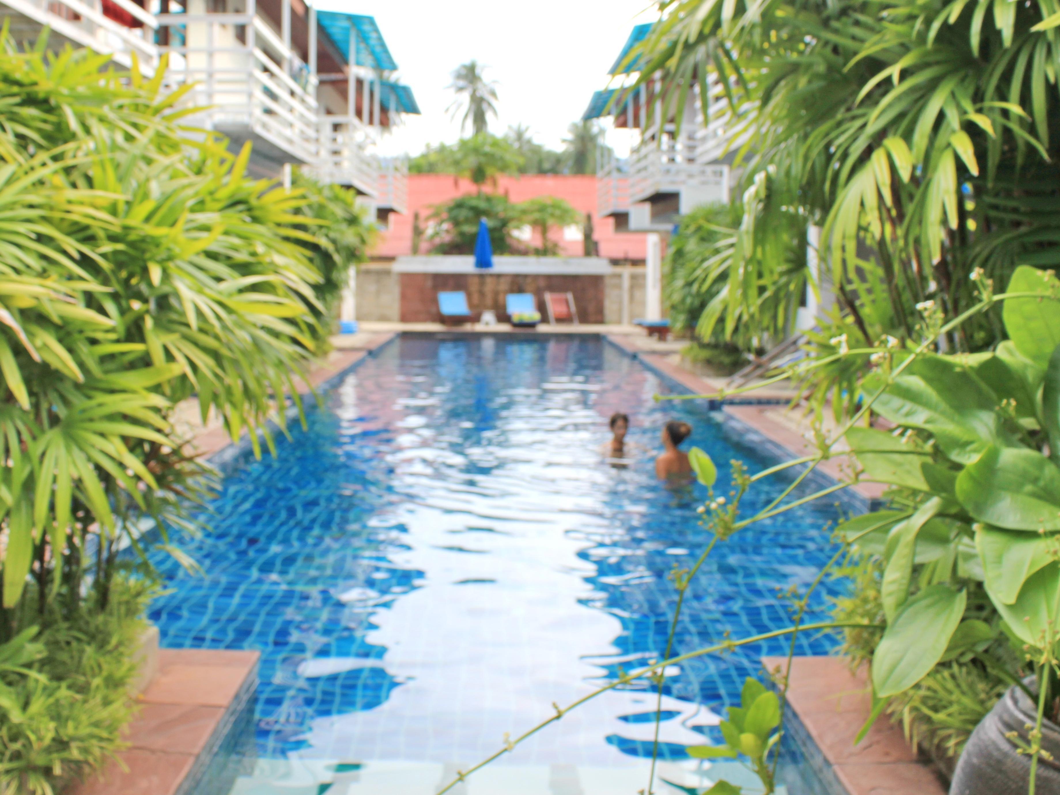 Florist Resort Thailand FAQ 2016, What facilities are there in Florist Resort Thailand 2016, What Languages Spoken are Supported in Florist Resort Thailand 2016, Which payment cards are accepted in Florist Resort Thailand , Thailand Florist Resort room facilities and services Q&A 2016, Thailand Florist Resort online booking services 2016, Thailand Florist Resort address 2016, Thailand Florist Resort telephone number 2016,Thailand Florist Resort map 2016, Thailand Florist Resort traffic guide 2016, how to go Thailand Florist Resort, Thailand Florist Resort booking online 2016, Thailand Florist Resort room types 2016.