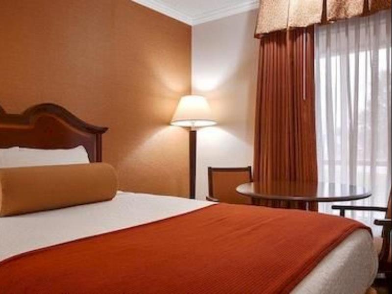 Suites-Executive