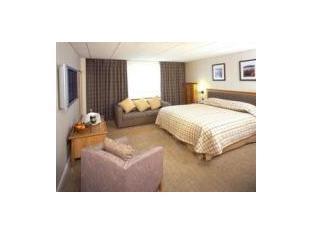 The Haven Hotel United Kingdom FAQ 2016, What facilities are there in The Haven Hotel United Kingdom 2016, What Languages Spoken are Supported in The Haven Hotel United Kingdom 2016, Which payment cards are accepted in The Haven Hotel United Kingdom , United Kingdom The Haven Hotel room facilities and services Q&A 2016, United Kingdom The Haven Hotel online booking services 2016, United Kingdom The Haven Hotel address 2016, United Kingdom The Haven Hotel telephone number 2016,United Kingdom The Haven Hotel map 2016, United Kingdom The Haven Hotel traffic guide 2016, how to go United Kingdom The Haven Hotel, United Kingdom The Haven Hotel booking online 2016, United Kingdom The Haven Hotel room types 2016.