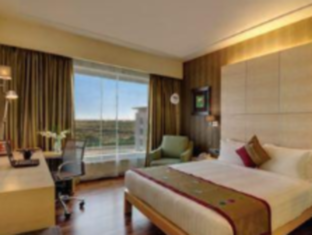 Novotel Hyderabad Airport Hotel Hyderabad FAQ 2016, What facilities are there in Novotel Hyderabad Airport Hotel Hyderabad 2016, What Languages Spoken are Supported in Novotel Hyderabad Airport Hotel Hyderabad 2016, Which payment cards are accepted in Novotel Hyderabad Airport Hotel Hyderabad , Hyderabad Novotel Hyderabad Airport Hotel room facilities and services Q&A 2016, Hyderabad Novotel Hyderabad Airport Hotel online booking services 2016, Hyderabad Novotel Hyderabad Airport Hotel address 2016, Hyderabad Novotel Hyderabad Airport Hotel telephone number 2016,Hyderabad Novotel Hyderabad Airport Hotel map 2016, Hyderabad Novotel Hyderabad Airport Hotel traffic guide 2016, how to go Hyderabad Novotel Hyderabad Airport Hotel, Hyderabad Novotel Hyderabad Airport Hotel booking online 2016, Hyderabad Novotel Hyderabad Airport Hotel room types 2016.