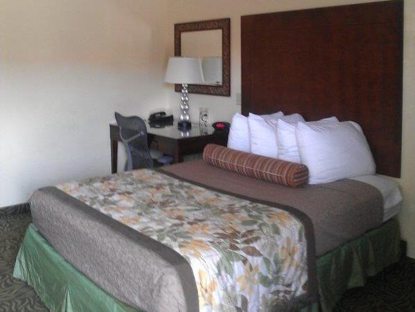 Roll In Shower 1 King Bed Hot Deal - Breakfast included