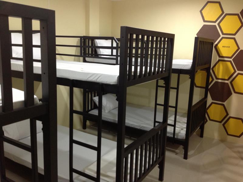 Female Bunk Bed Dormitory - Free WiFi access