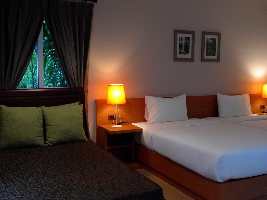 Executive Garden View  - Free Airport Transfer - Free WiFi access - Breakfast included
