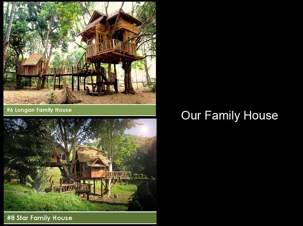 Tree House Family 4 pax - Free WiFi access