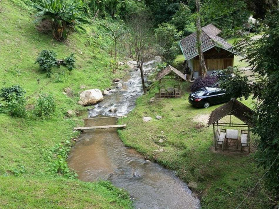 Tree house villa - Best price guarantee
