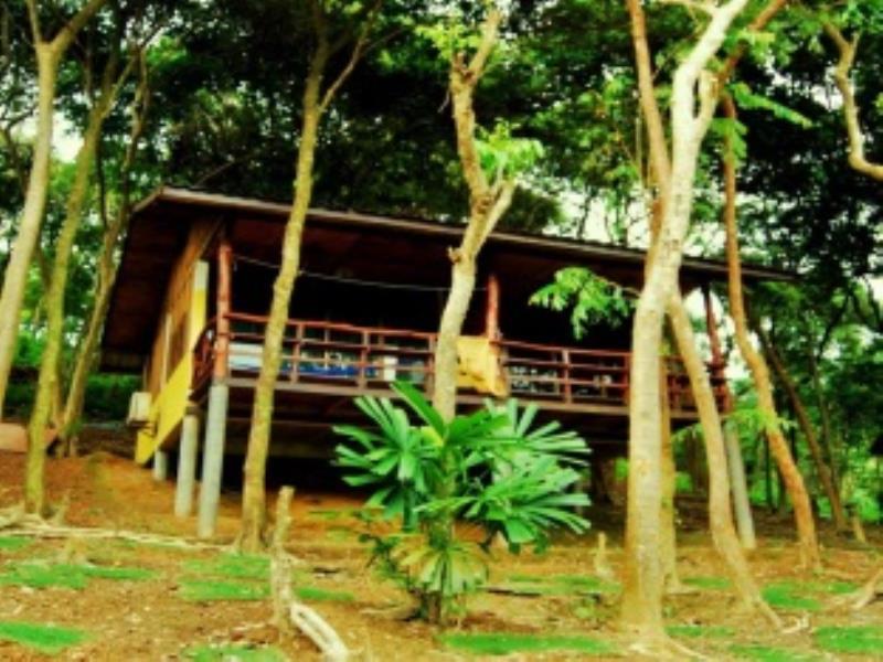 Baan
