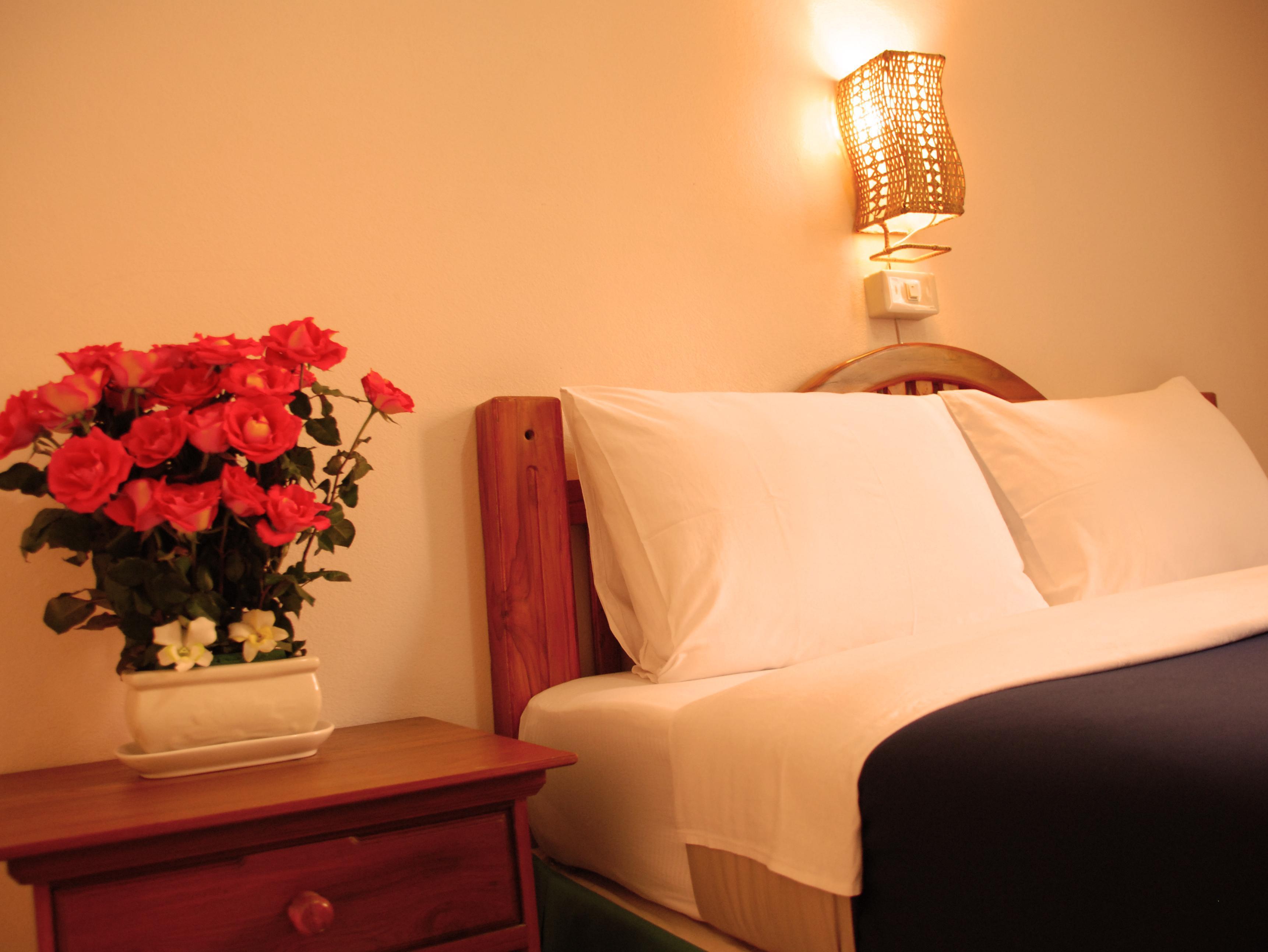 Thaphae Garden Guesthouse Thailand FAQ 2016, What facilities are there in Thaphae Garden Guesthouse Thailand 2016, What Languages Spoken are Supported in Thaphae Garden Guesthouse Thailand 2016, Which payment cards are accepted in Thaphae Garden Guesthouse Thailand , Thailand Thaphae Garden Guesthouse room facilities and services Q&A 2016, Thailand Thaphae Garden Guesthouse online booking services 2016, Thailand Thaphae Garden Guesthouse address 2016, Thailand Thaphae Garden Guesthouse telephone number 2016,Thailand Thaphae Garden Guesthouse map 2016, Thailand Thaphae Garden Guesthouse traffic guide 2016, how to go Thailand Thaphae Garden Guesthouse, Thailand Thaphae Garden Guesthouse booking online 2016, Thailand Thaphae Garden Guesthouse room types 2016.