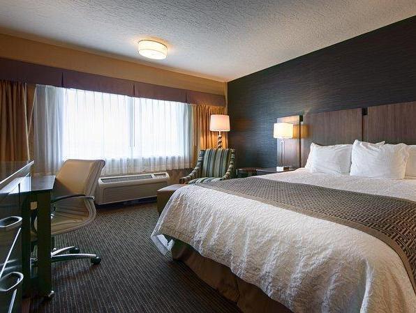 Suite-1 King Bed Special Deal - Breakfast included