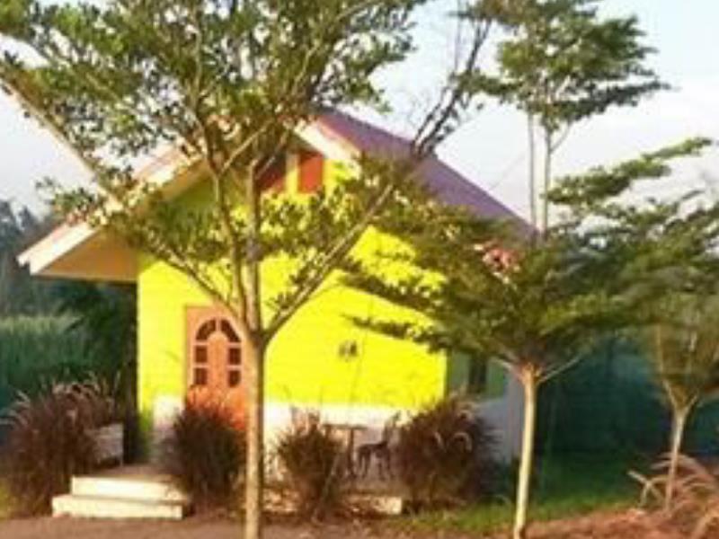 Superior Villa - Free WiFi access - Breakfast included