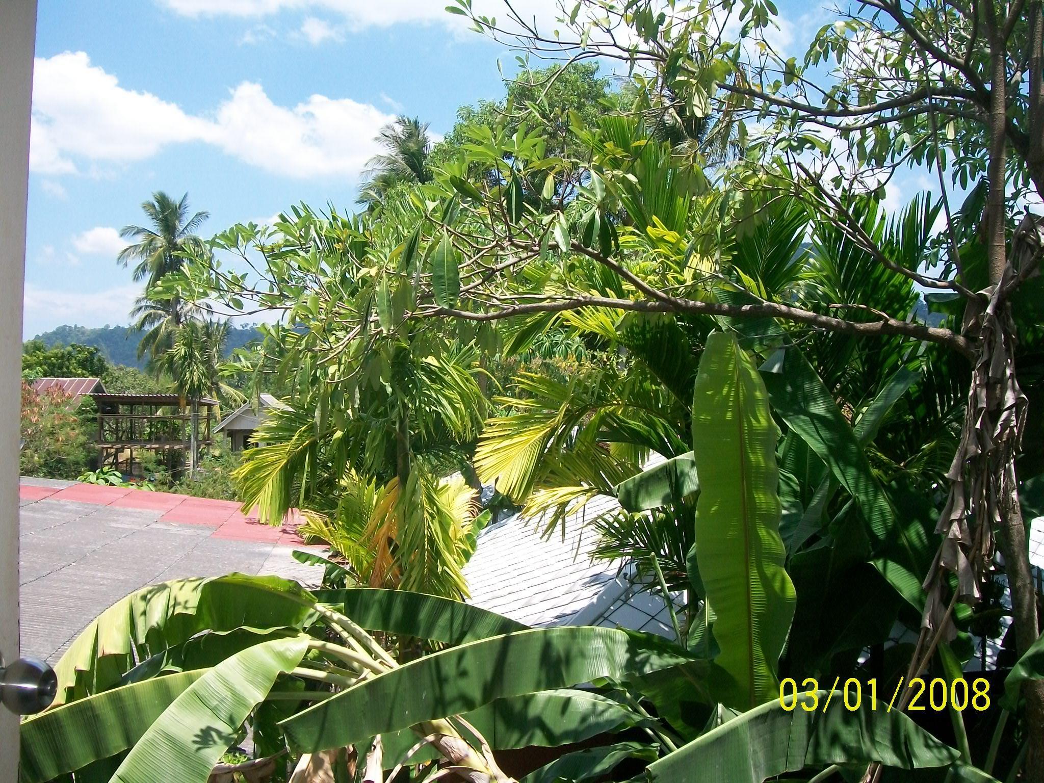 Sweet Dream Guest House Thailand FAQ 2016, What facilities are there in Sweet Dream Guest House Thailand 2016, What Languages Spoken are Supported in Sweet Dream Guest House Thailand 2016, Which payment cards are accepted in Sweet Dream Guest House Thailand , Thailand Sweet Dream Guest House room facilities and services Q&A 2016, Thailand Sweet Dream Guest House online booking services 2016, Thailand Sweet Dream Guest House address 2016, Thailand Sweet Dream Guest House telephone number 2016,Thailand Sweet Dream Guest House map 2016, Thailand Sweet Dream Guest House traffic guide 2016, how to go Thailand Sweet Dream Guest House, Thailand Sweet Dream Guest House booking online 2016, Thailand Sweet Dream Guest House room types 2016.