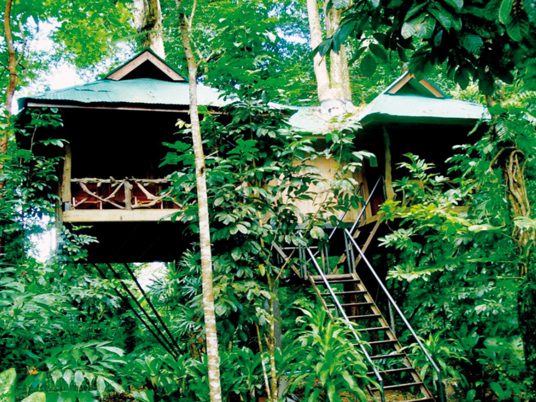 Khao Sok Nature Resort Thailand FAQ 2016, What facilities are there in Khao Sok Nature Resort Thailand 2016, What Languages Spoken are Supported in Khao Sok Nature Resort Thailand 2016, Which payment cards are accepted in Khao Sok Nature Resort Thailand , Thailand Khao Sok Nature Resort room facilities and services Q&A 2016, Thailand Khao Sok Nature Resort online booking services 2016, Thailand Khao Sok Nature Resort address 2016, Thailand Khao Sok Nature Resort telephone number 2016,Thailand Khao Sok Nature Resort map 2016, Thailand Khao Sok Nature Resort traffic guide 2016, how to go Thailand Khao Sok Nature Resort, Thailand Khao Sok Nature Resort booking online 2016, Thailand Khao Sok Nature Resort room types 2016.