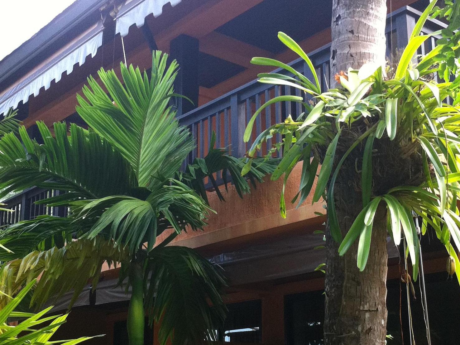 Deluxe Room - Best price guarantee