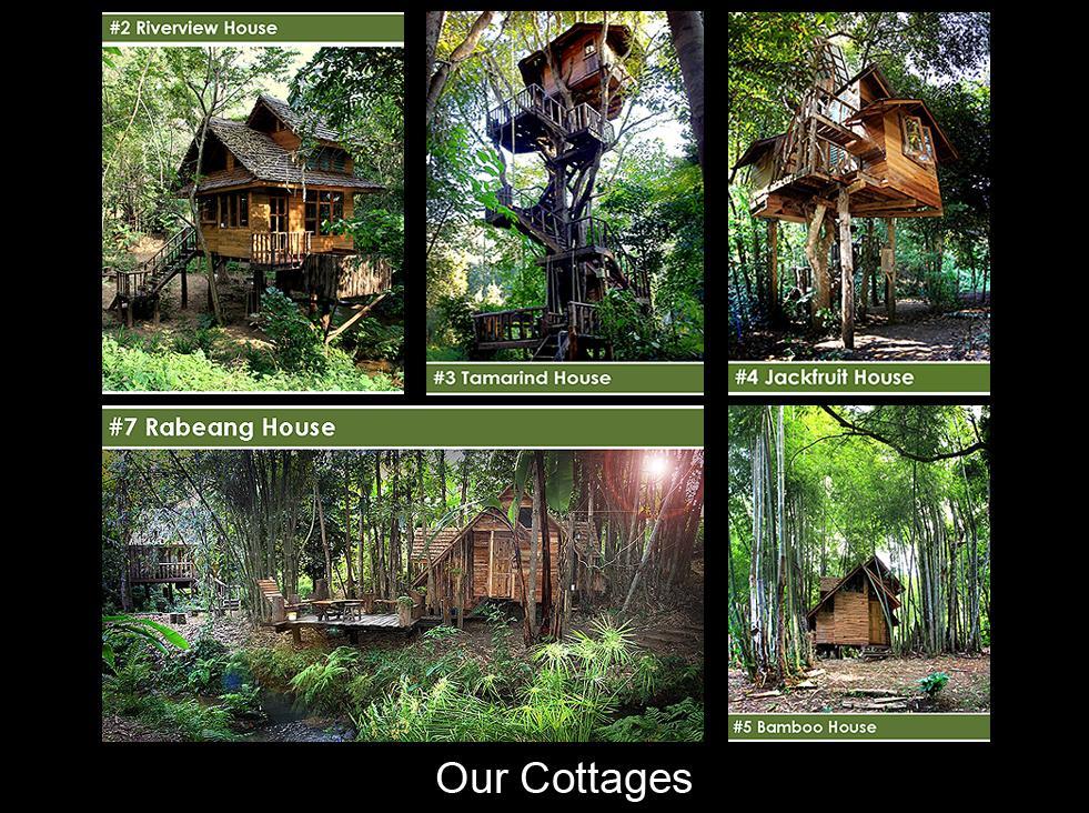 Rabeang Pasak Tree House Resort Thailand FAQ 2016, What facilities are there in Rabeang Pasak Tree House Resort Thailand 2016, What Languages Spoken are Supported in Rabeang Pasak Tree House Resort Thailand 2016, Which payment cards are accepted in Rabeang Pasak Tree House Resort Thailand , Thailand Rabeang Pasak Tree House Resort room facilities and services Q&A 2016, Thailand Rabeang Pasak Tree House Resort online booking services 2016, Thailand Rabeang Pasak Tree House Resort address 2016, Thailand Rabeang Pasak Tree House Resort telephone number 2016,Thailand Rabeang Pasak Tree House Resort map 2016, Thailand Rabeang Pasak Tree House Resort traffic guide 2016, how to go Thailand Rabeang Pasak Tree House Resort, Thailand Rabeang Pasak Tree House Resort booking online 2016, Thailand Rabeang Pasak Tree House Resort room types 2016.