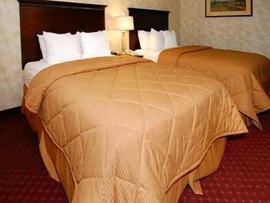 Comfort Inn & Suites America FAQ 2016, What facilities are there in Comfort Inn & Suites America 2016, What Languages Spoken are Supported in Comfort Inn & Suites America 2016, Which payment cards are accepted in Comfort Inn & Suites America , America Comfort Inn & Suites room facilities and services Q&A 2016, America Comfort Inn & Suites online booking services 2016, America Comfort Inn & Suites address 2016, America Comfort Inn & Suites telephone number 2016,America Comfort Inn & Suites map 2016, America Comfort Inn & Suites traffic guide 2016, how to go America Comfort Inn & Suites, America Comfort Inn & Suites booking online 2016, America Comfort Inn & Suites room types 2016.