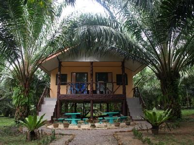 Palmview