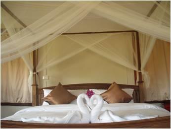 Honeymoon Suite room - Free WiFi access - Breakfast included