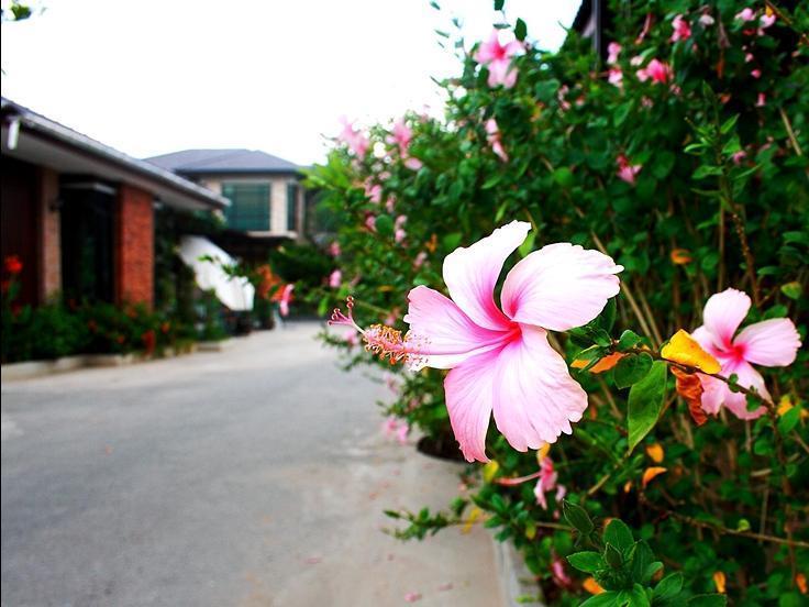Yenjit Bungalow and Resort Thailand FAQ 2016, What facilities are there in Yenjit Bungalow and Resort Thailand 2016, What Languages Spoken are Supported in Yenjit Bungalow and Resort Thailand 2016, Which payment cards are accepted in Yenjit Bungalow and Resort Thailand , Thailand Yenjit Bungalow and Resort room facilities and services Q&A 2016, Thailand Yenjit Bungalow and Resort online booking services 2016, Thailand Yenjit Bungalow and Resort address 2016, Thailand Yenjit Bungalow and Resort telephone number 2016,Thailand Yenjit Bungalow and Resort map 2016, Thailand Yenjit Bungalow and Resort traffic guide 2016, how to go Thailand Yenjit Bungalow and Resort, Thailand Yenjit Bungalow and Resort booking online 2016, Thailand Yenjit Bungalow and Resort room types 2016.