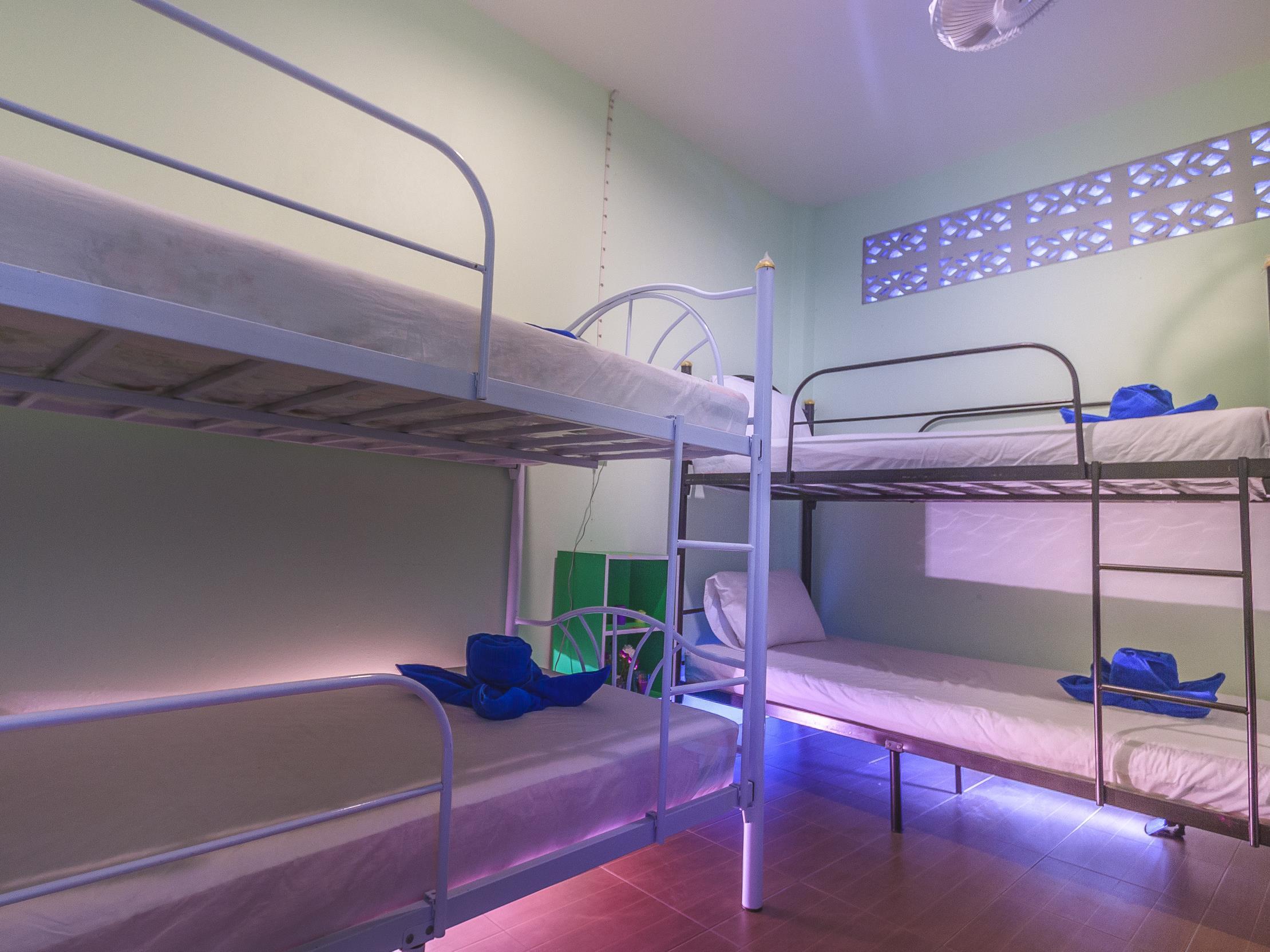 4 Mixed Dormitory Room - Free WiFi access