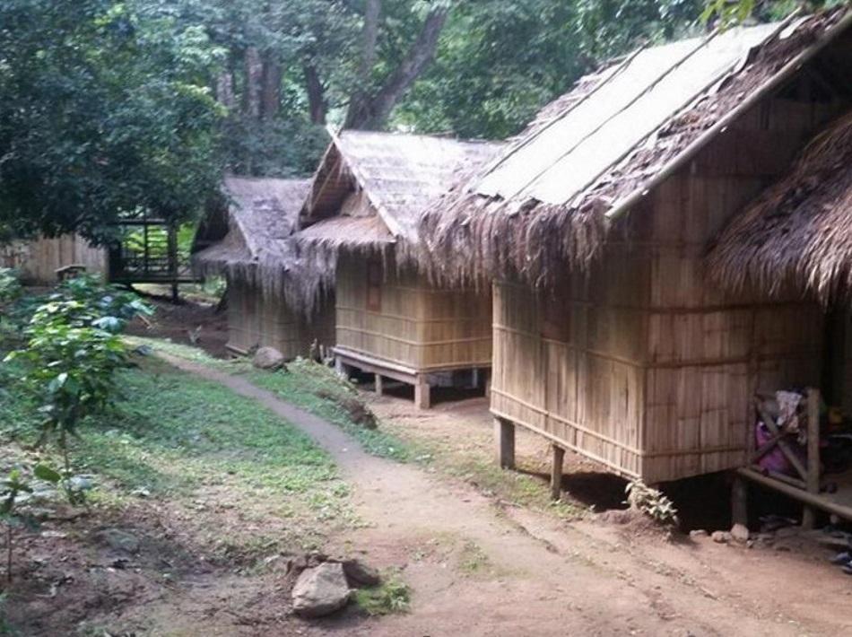 Tree houses Bungalow - Best price guarantee