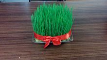 Nowruz in Georgia
,Festivals by Georgia
, Nowruz,Nowruz-March 19, 20, 21 or 22,